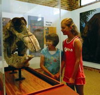 Australian Museum Diprotodon Exhibition - Northern Rivers Accommodation