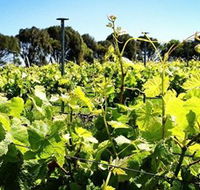 Basalt Wines - Northern Rivers Accommodation