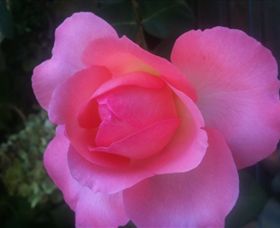 Abandon Stress Mobile Massage - Northern Rivers Accommodation 2