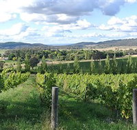 Sassy Wines - Northern Rivers Accommodation