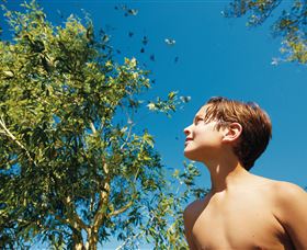 Bushwalking On Keswick Island - Northern Rivers Accommodation 0