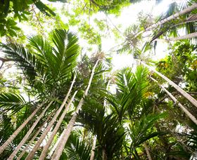 Bushwalking On Keswick Island - Northern Rivers Accommodation 1