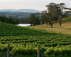 Granite Hills Winery - Northern Rivers Accommodation 0