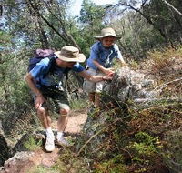 Mount Arthur Reserve - Northern Rivers Accommodation