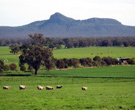 The Rock Nature Reserve - Northern Rivers Accommodation 0