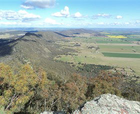 The Rock Nature Reserve - Northern Rivers Accommodation 3