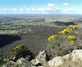 The Rock Nature Reserve - Northern Rivers Accommodation 4