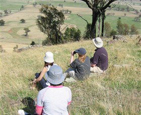 The Rock Nature Reserve - Northern Rivers Accommodation 2