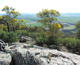 The Rock Nature Reserve - Northern Rivers Accommodation 6