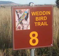 Weddin Bird Trails - Northern Rivers Accommodation