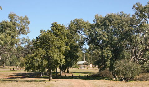 Terry Hie Hie Aboriginal Area - Northern Rivers Accommodation 0