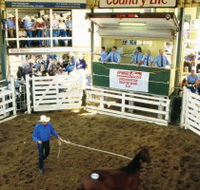 Gracemere Exhibition Complex - Northern Rivers Accommodation