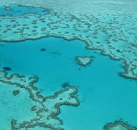 Heart Reef - Northern Rivers Accommodation