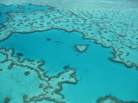 Heart Reef - Northern Rivers Accommodation 0