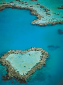 Heart Reef - Northern Rivers Accommodation 3