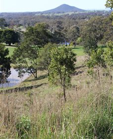 Mt Piper Nature Conservation Reserve - Northern Rivers Accommodation 1