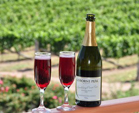 Gisborne Peak Winery - Northern Rivers Accommodation 2