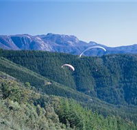 Buffalo Brewery - Northern Rivers Accommodation
