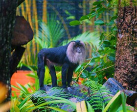 The Rockhampton Zoo - Northern Rivers Accommodation 3