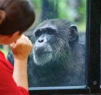 The Rockhampton Zoo - Northern Rivers Accommodation