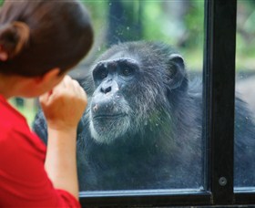 The Rockhampton Zoo - Northern Rivers Accommodation 0