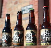 Black Dog Brewery - Northern Rivers Accommodation