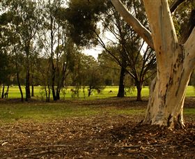 Benalla Golf Club - Northern Rivers Accommodation 2