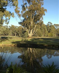 Benalla Golf Club - Northern Rivers Accommodation 5