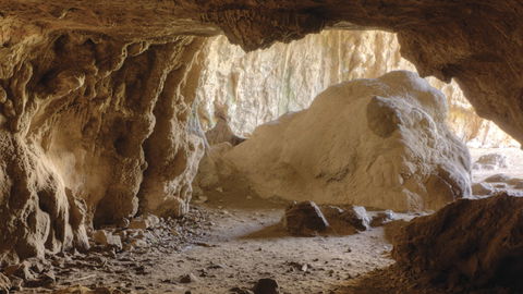 Borenore Karst Conservation Reserve - Northern Rivers Accommodation 1