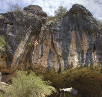 Borenore Karst Conservation Reserve - Northern Rivers Accommodation
