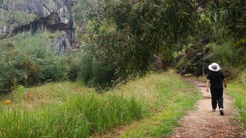 Borenore Karst Conservation Reserve - Northern Rivers Accommodation 3