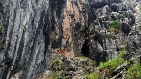 Borenore Karst Conservation Reserve - Northern Rivers Accommodation 2