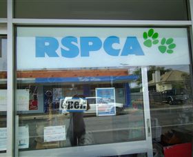R.S.P.C.A Opportunity Shop - Northern Rivers Accommodation 0