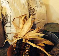 Buronga Organics - Coota - Northern Rivers Accommodation