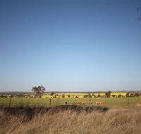 Cootamundra Bird Walk - Northern Rivers Accommodation