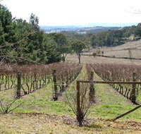 Habitat Vineyard - Northern Rivers Accommodation