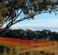 Bloodwood Estate - Northern Rivers Accommodation