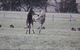 Living Legends: The International Home Of Rest For Champion Horses - thumb 2