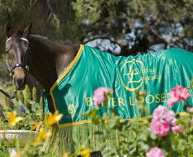 Living Legends: The International Home Of Rest For Champion Horses - Northern Rivers Accommodation 0