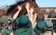 Living Legends: The International Home Of Rest For Champion Horses - thumb 4