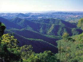 Kroombit Tops National Park - Northern Rivers Accommodation 0