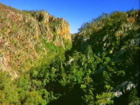 Kroombit Tops National Park - Northern Rivers Accommodation 2