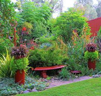 Out of Town Nursery and Humming Garden - Northern Rivers Accommodation