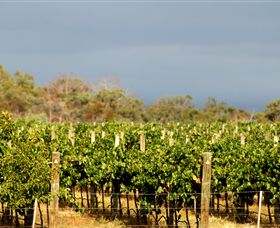 Amulet Vineyard And Beechworth Cider - Northern Rivers Accommodation 7