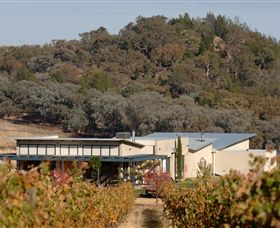 Amulet Vineyard And Beechworth Cider - Northern Rivers Accommodation 8