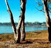 Lake Broadwater Conservation Park