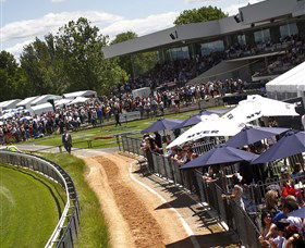 Thoroughbred Park Canberra Racing Club - Horse Racing In The Nations Capital - Northern Rivers Accommodation 1