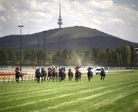 Thoroughbred Park Canberra Racing Club - Horse Racing In The Nations Capital - Northern Rivers Accommodation 3