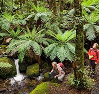 Baw Baw National Park - Northern Rivers Accommodation