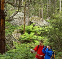 Centennial Glen - Northern Rivers Accommodation